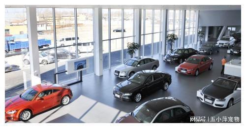 8200萬汽車消費券成功發放，汽車銷售行業或迎新爆發